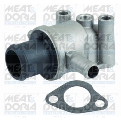 Thermostat, coolant